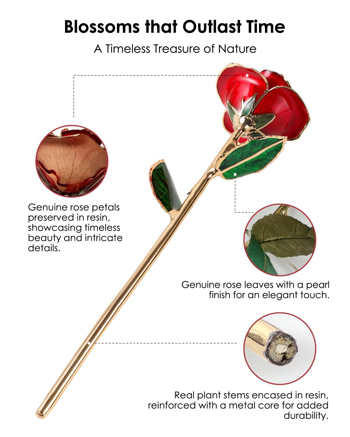 Gold Dipped Real Rose – Preserved Natural Flower with Gift Box, Romantic Eternal Rose for Her, Anniversary & Valentine’s Gift