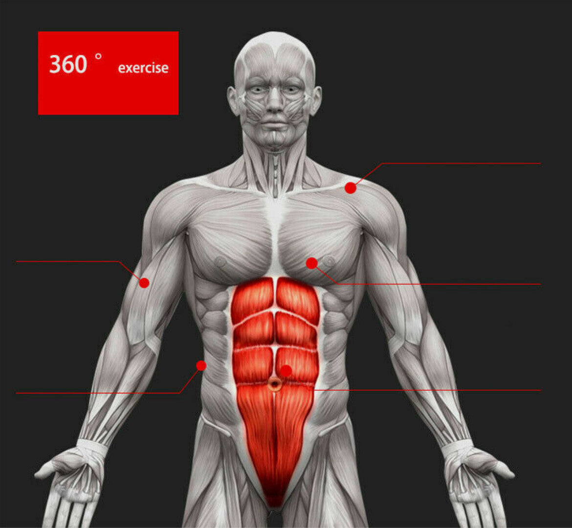 Pro Abs Roller Exercise Wheel Abdominal Core Strength Workout Muscle Cruncher Woozy Store