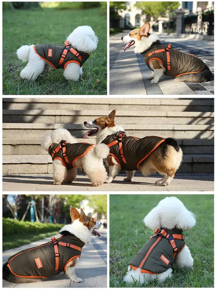 Puppy Jacket Waterproof Pet Clothes for Small Dogs with Harness Winter Warm Chihuahua Vest Yorkie Coat French Bulldog Costume - Woozy Store