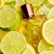 Versace Eros Energy Eau de Parfum 3.4 oz (100ml) | Authentic Men’s Fragrance Woozy Store