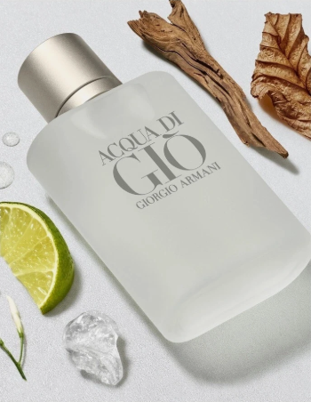 Giorgio Armani Acqua di Gio Eau de Toilette 100ml EDT Spray New & Sealed Woozy Store