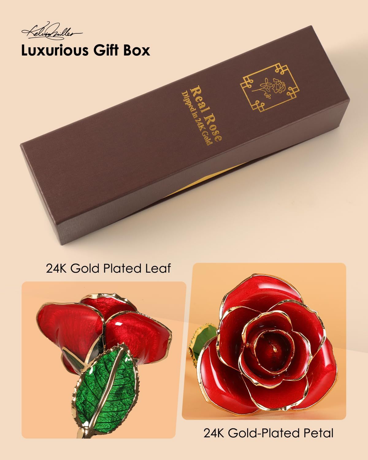 Gold Dipped Real Rose – Preserved Natural Flower with Gift Box, Romantic Eternal Rose for Her, Anniversary & Valentine’s Gift Woozy Store