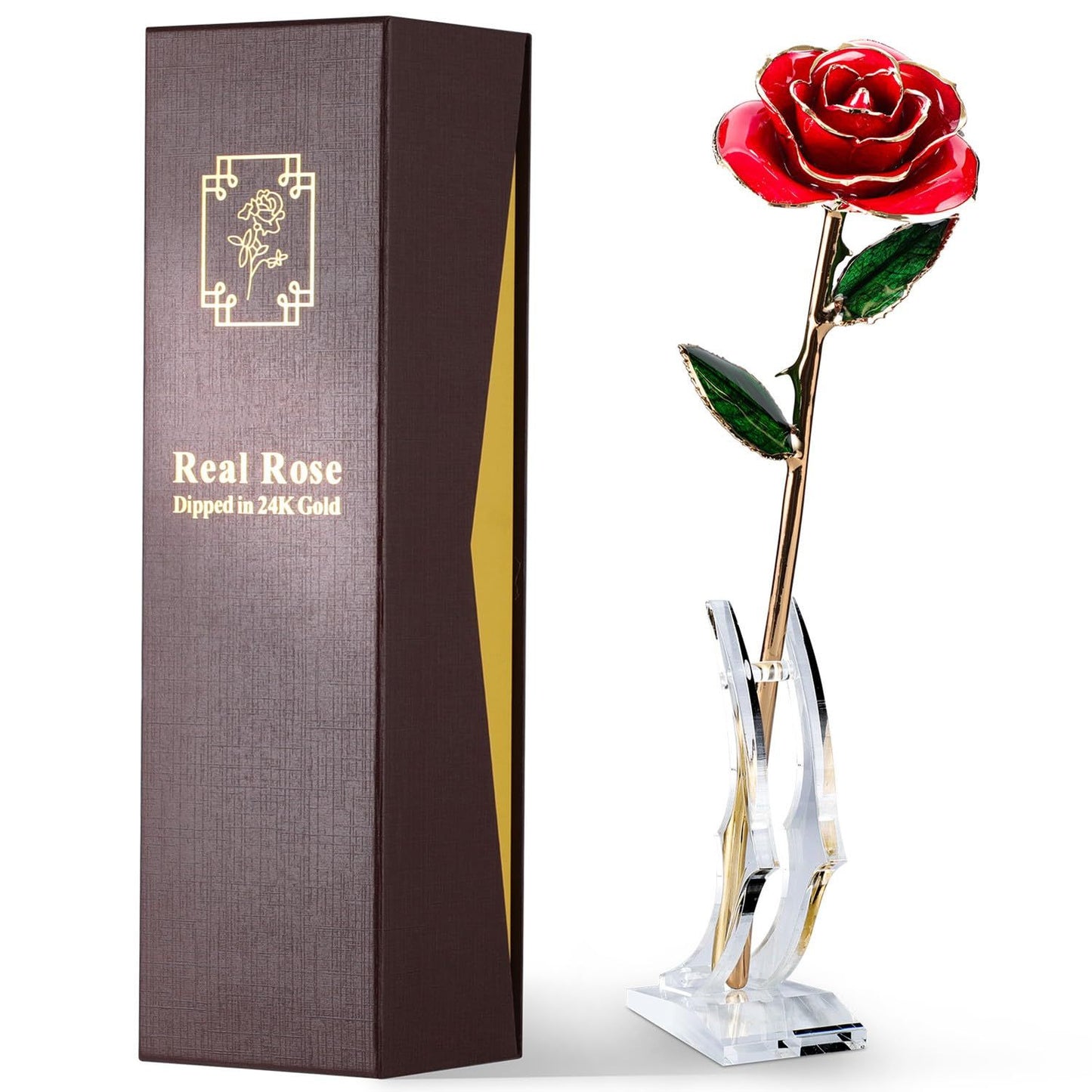 Gold Dipped Real Rose – Preserved Natural Flower with Gift Box, Romantic Eternal Rose for Her, Anniversary & Valentine’s Gift