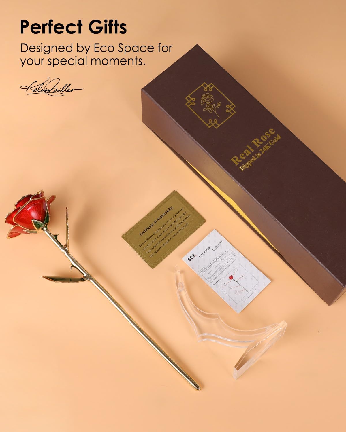 Gold Dipped Real Rose – Preserved Natural Flower with Gift Box, Romantic Eternal Rose for Her, Anniversary & Valentine’s Gift Woozy Store